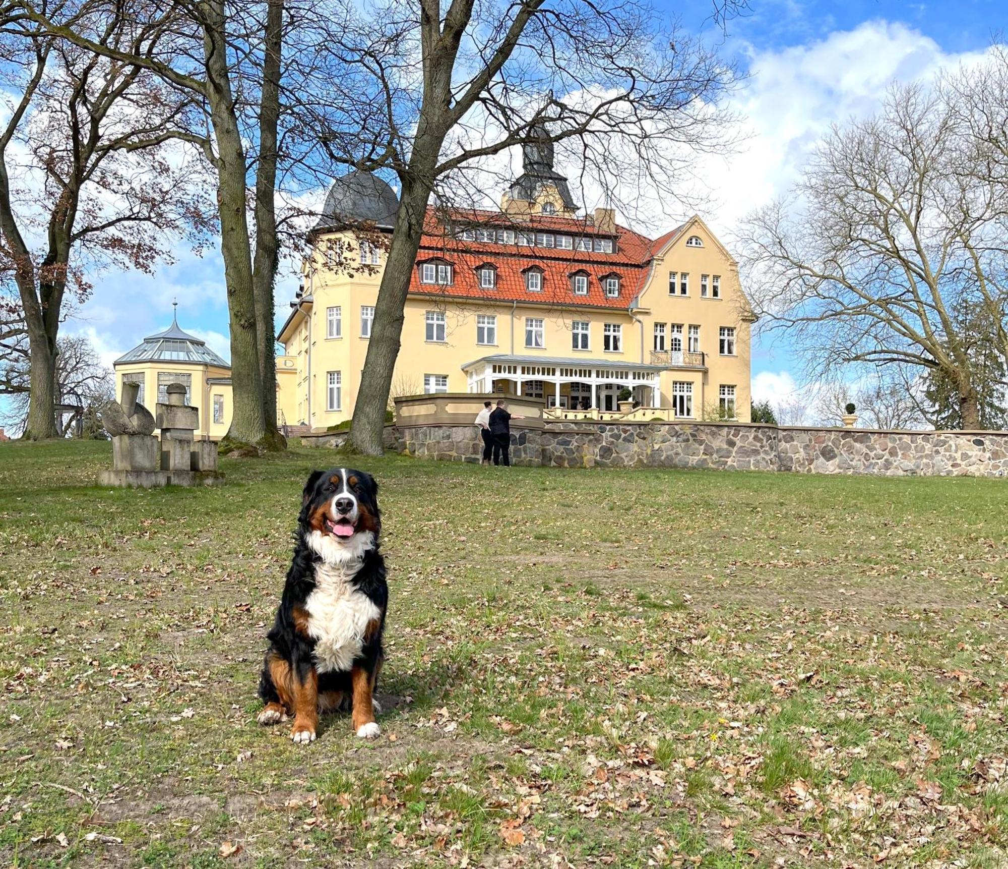 Bernsteinschloss Wendorf  Dış mekan fotoğraf